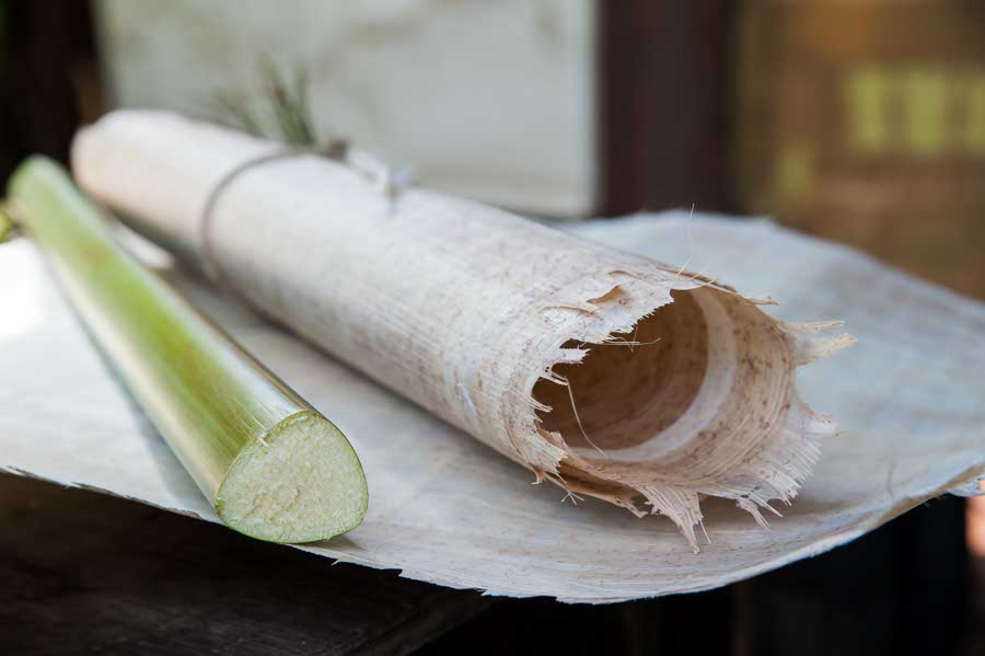 Rolled papyrus and a cut section of the reed, laid on a sheet of pressed papyrus.